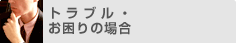 �g���u���E������̏ꍇ