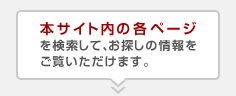 �{�T�C�g���̊e�y�[�W���������āA���T���̏����������������܂��B