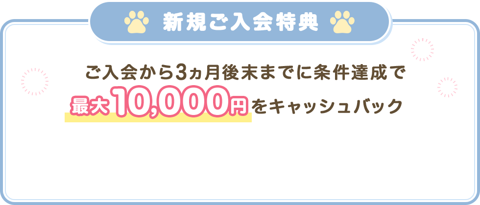 新規ご入会特典 ご入会から3ヵ月後末までに条件達成で最大10,000円をキャッシュバック