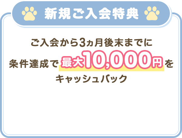 新規ご入会特典 ご入会から3ヵ月後末までに条件達成で最大10,000円をキャッシュバック