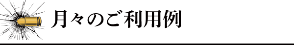 月々のご利用例